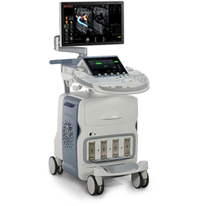 Voluson Upgrade E-series BT19 to BT21 Voluson Upgrade E-series BT19 to BT21